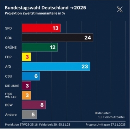 AfD 1.jpeg