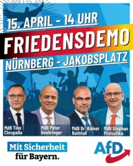 AfD 2.jpg