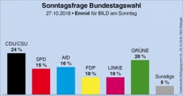 AfD 2.jpg