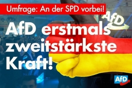 AfD 1.jpg