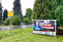 AfD 1.jpg