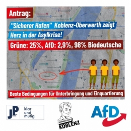 AfD 1.jpg