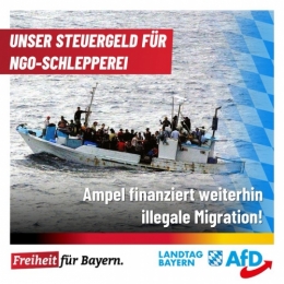 AfD 2.jpeg