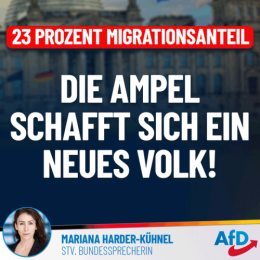 AfD 1.png