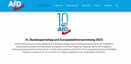 AfD Magdeburg.jpeg