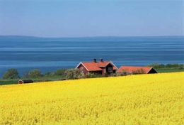 Démocrates suédois.jpg