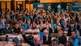 AfD 3.jpg