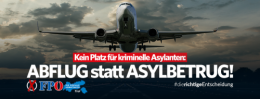 FPÖ 2.png