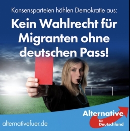 AfD 1.jpeg