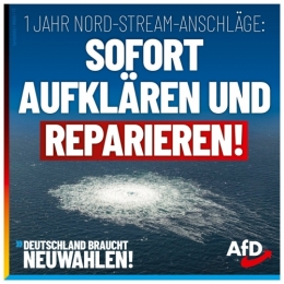 AfD 1.jpeg