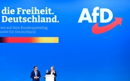 AfD 2.jpg