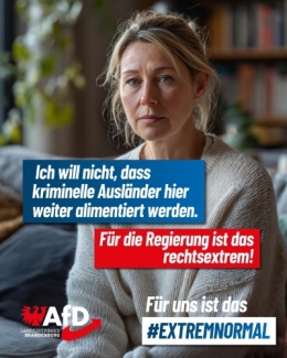 AfD 2.jpg