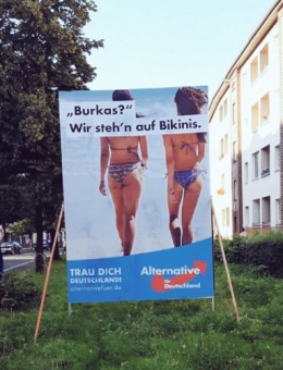 AfD 2.jpg