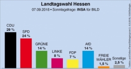 AfD 1.jpg