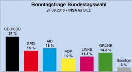 AfD 1.jpg