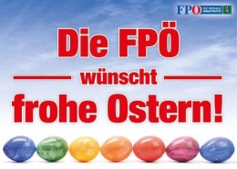 FPÖ 1.jpg