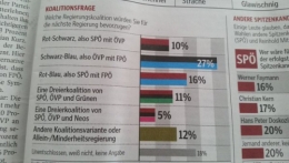 FPÖ 1.jpg