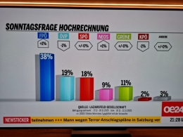 FPÖ 1.jpg