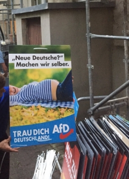 AfD 4.jpg