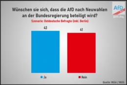 AfD 2.jpeg