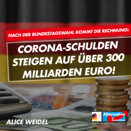 AfD 1.png