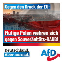 AfD 1.png