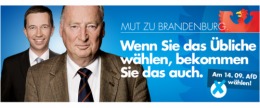 AfD 1.png