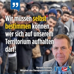 FPö 2.jpeg