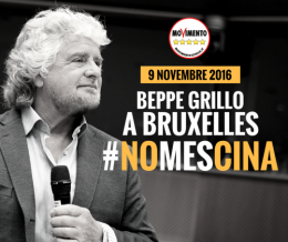 Grillo 1.png
