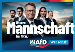 AfD 3.png