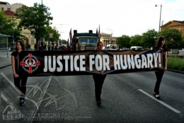 HVIM 1.JPG