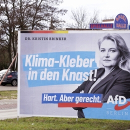 AfD 3.jpg