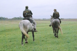 Jobbik 2.jpg