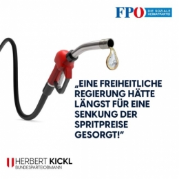 FPÖ 2.jpeg