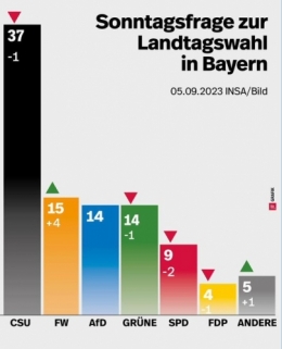 AfD Bavière.jpeg