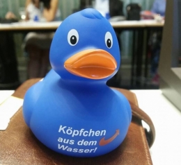 AfD 1.jpg