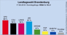 AfD 1.jpg