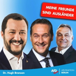 AfD 1.jpg