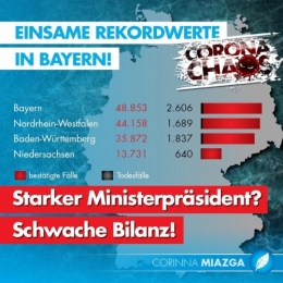 AfD 1.jpg