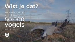 FvD 1.jpg