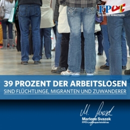 FPÖ 1.jpg