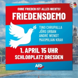 AfD 2.jpeg