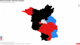 AfD 1.png