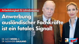 AfD 1.png