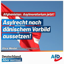 AfD 1.png