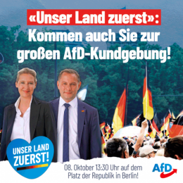 AfD 1.png