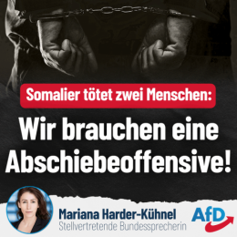 AfD 1.png