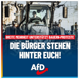 AfD 1.png