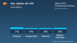 AfD 11.jpg