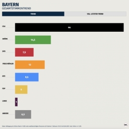 AfD 3.jpg